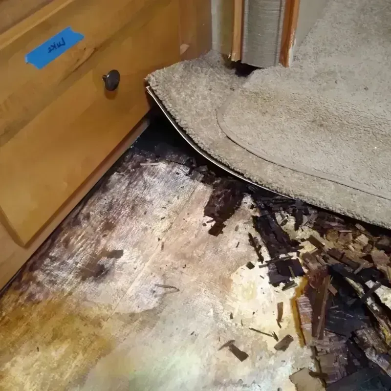 Best Wood Floor Water Damage Service in Maple Park, IL